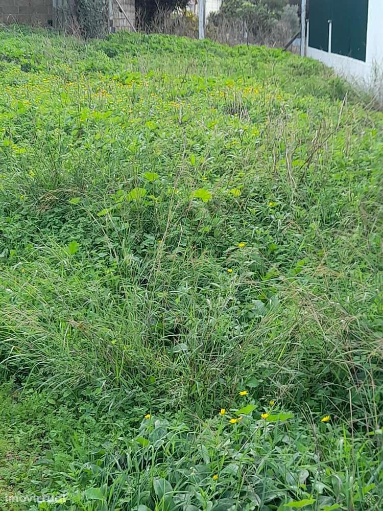 Magnifico terreno urbano 399m2 Feijo, Almada - Grande imagem: 5/7