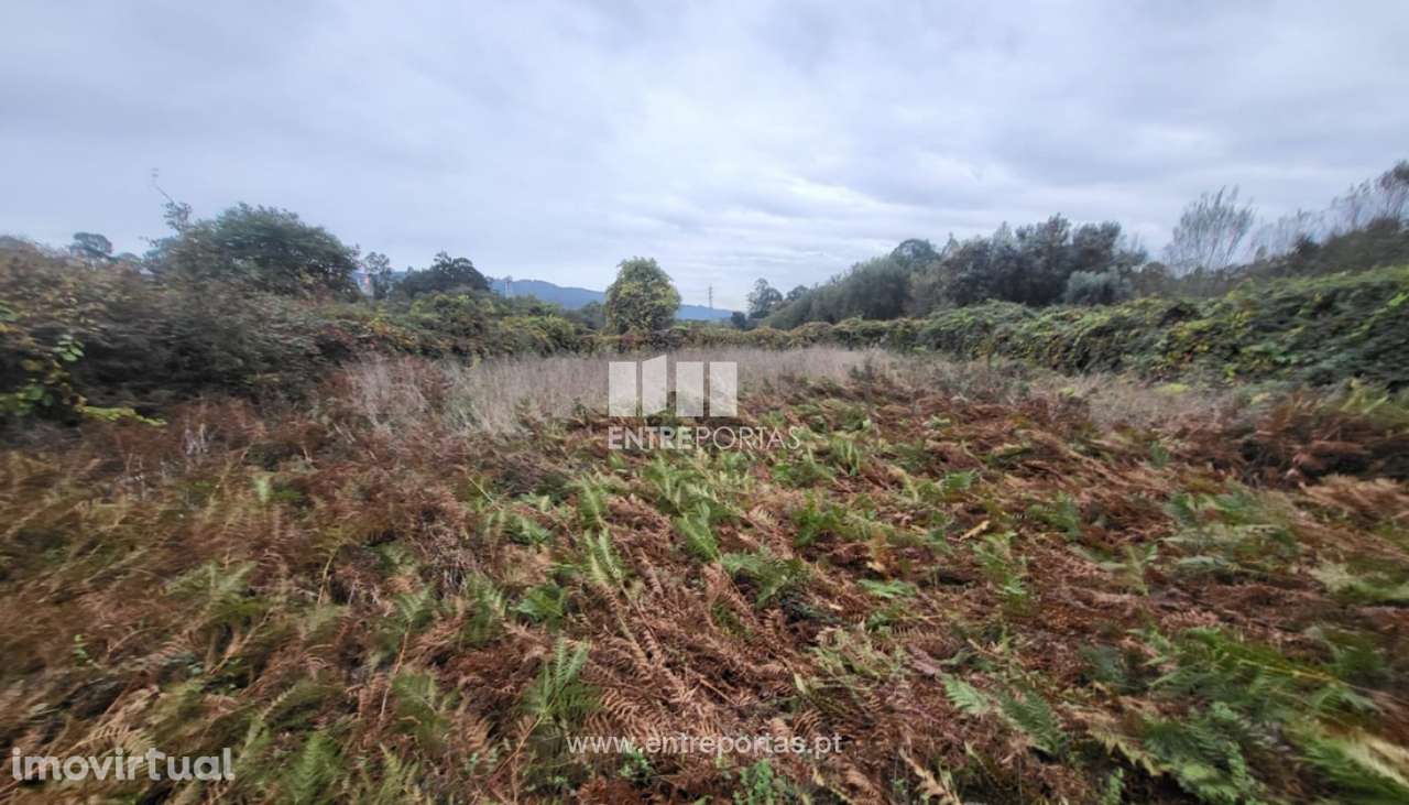 Venda de terreno agrícola, Deocriste, Viana do Castelo - Grande imagem: 3/28