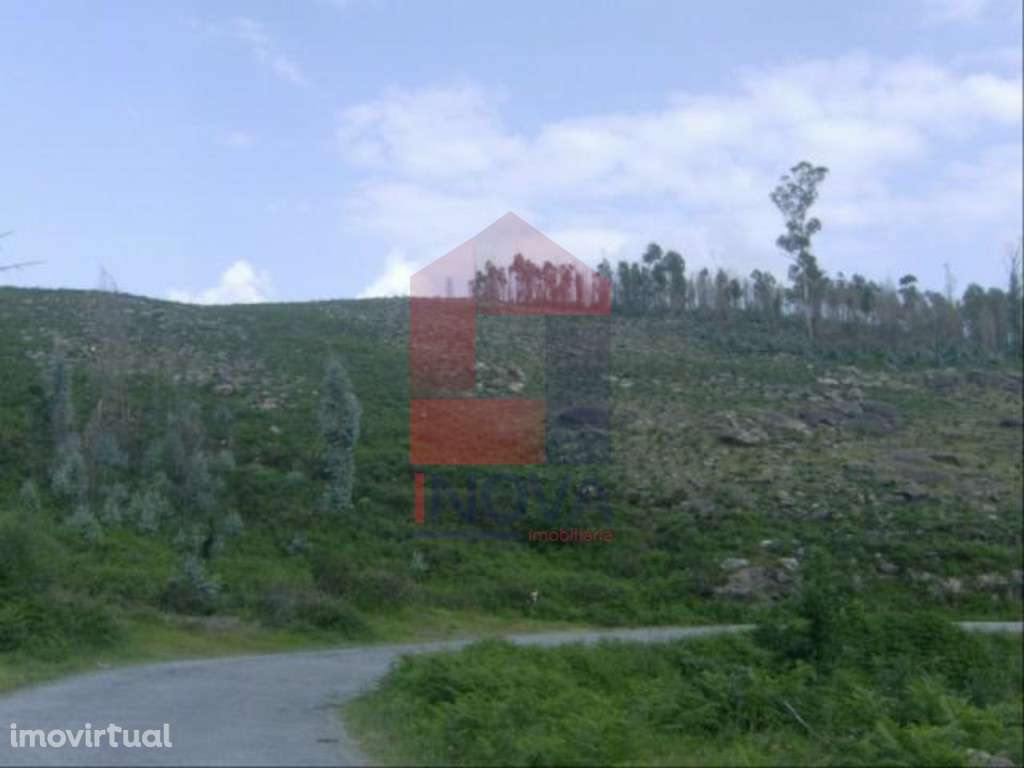 Terreno, Dossãos - Grande imagem: 3/4