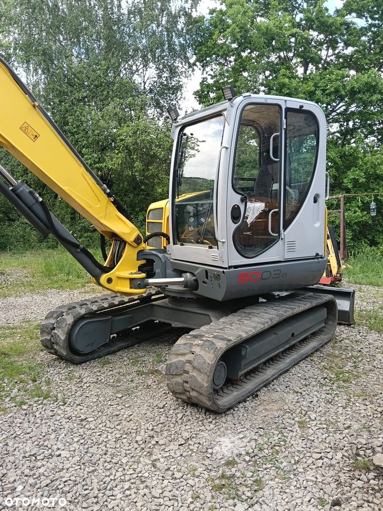 Wacker Neuson 8003 - 1