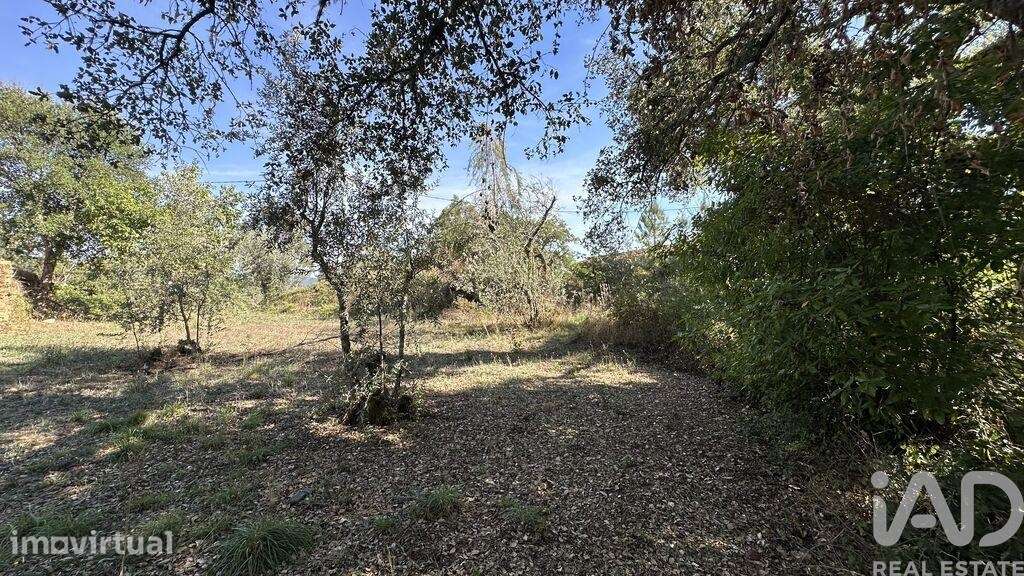 Terreno Agrícola em Pedrógão Grande