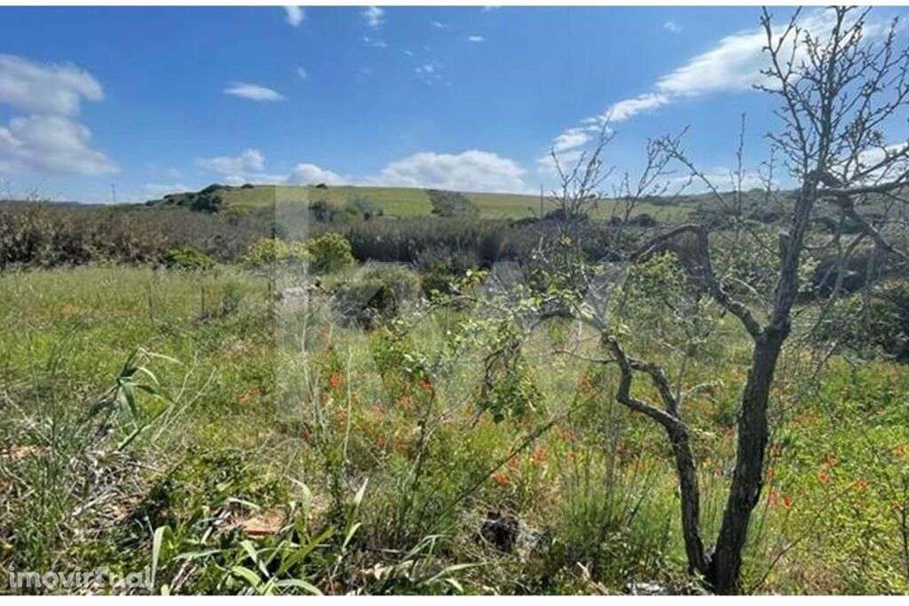 TERRENO RÚSTICO COM POTENCIAL URBANIZÁVEL EM SEVER DO VOUGA - Grande imagem: 4/6
