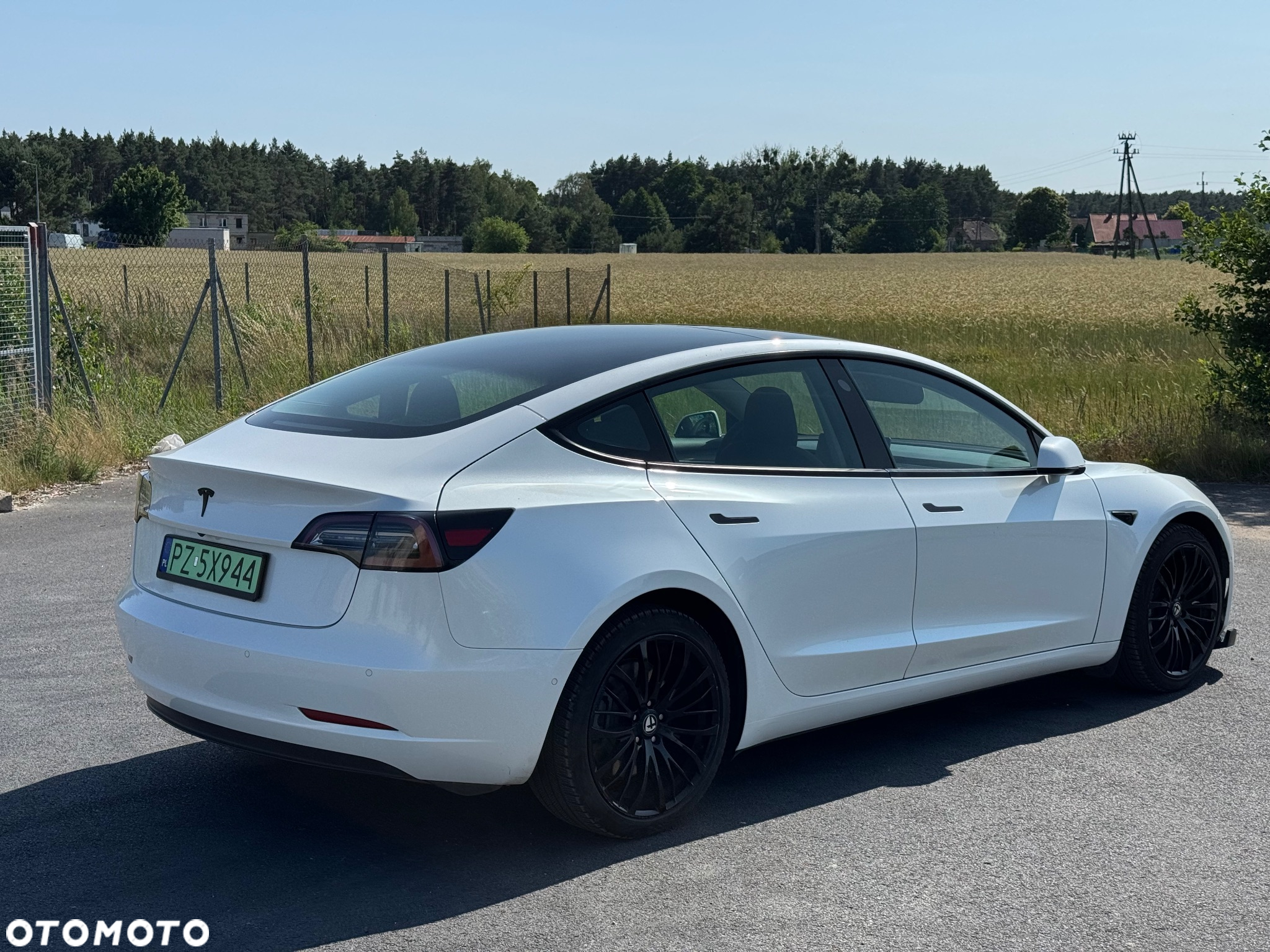 Tesla Model 3 Standard Range Plus - 3