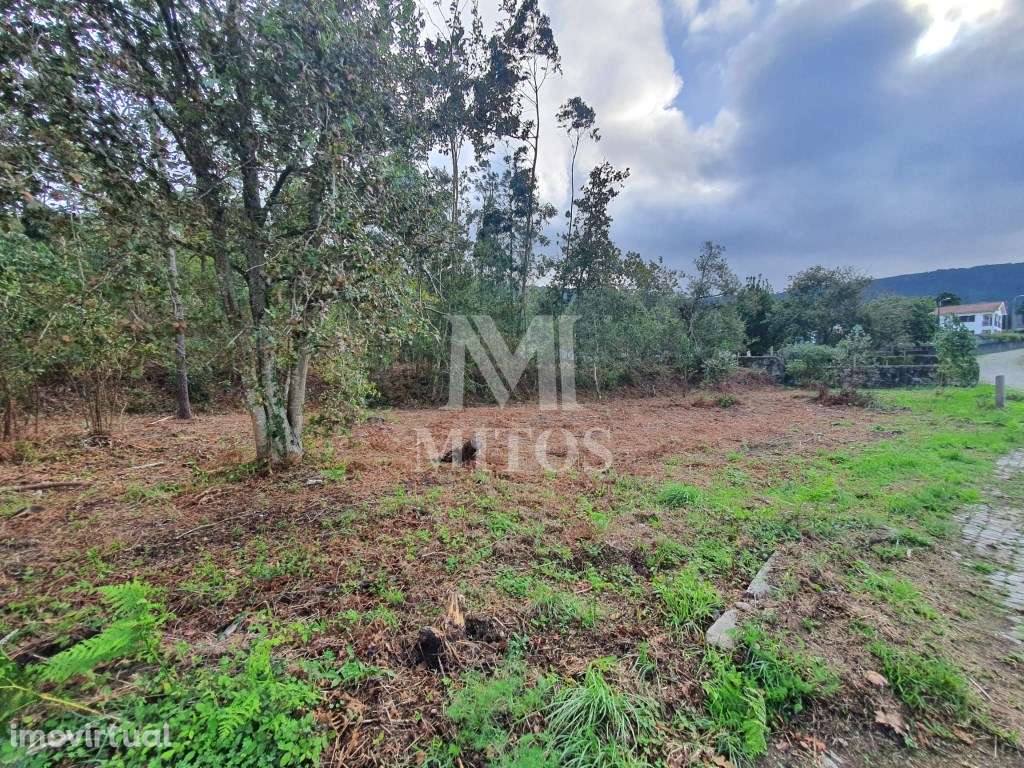 Terreno para venda em Afife - Viana do Castelo - Grande imagem: 5/8