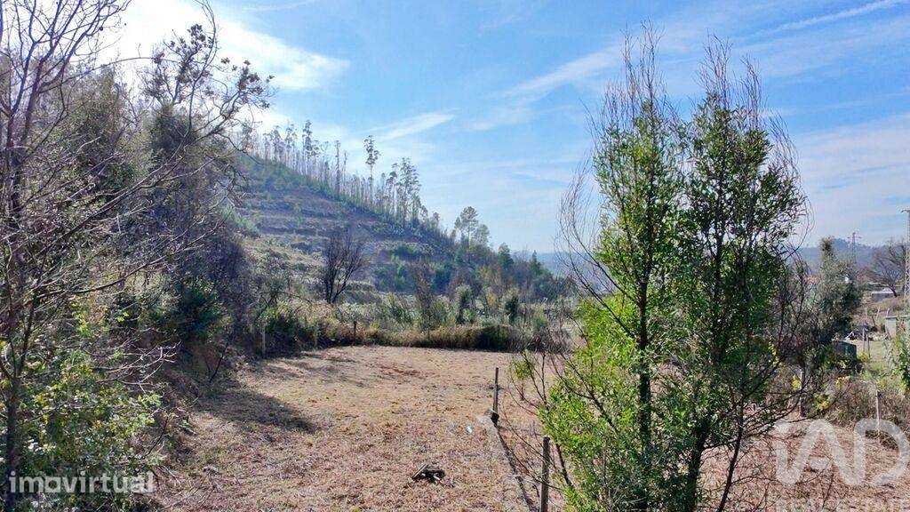 Terreno em Foz do Sousa e Covelo de 3200,00 m2 - Grande imagem: 5/25