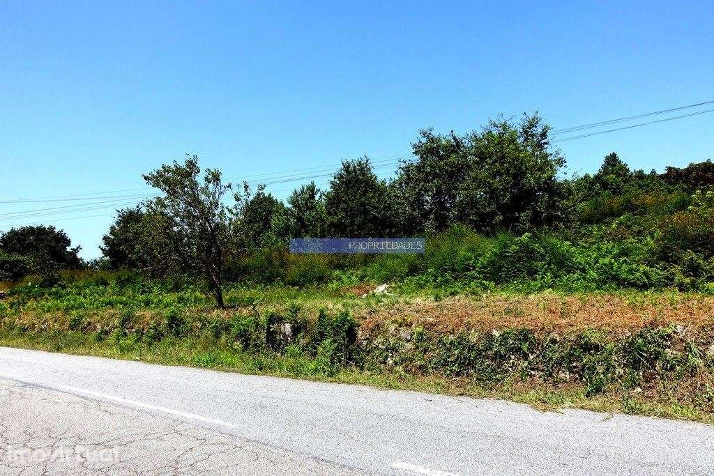 Terreno e Ruína p/ Restauro e Expansão, no Minho, em Agualonga. Por... - Grande imagem: 3/7