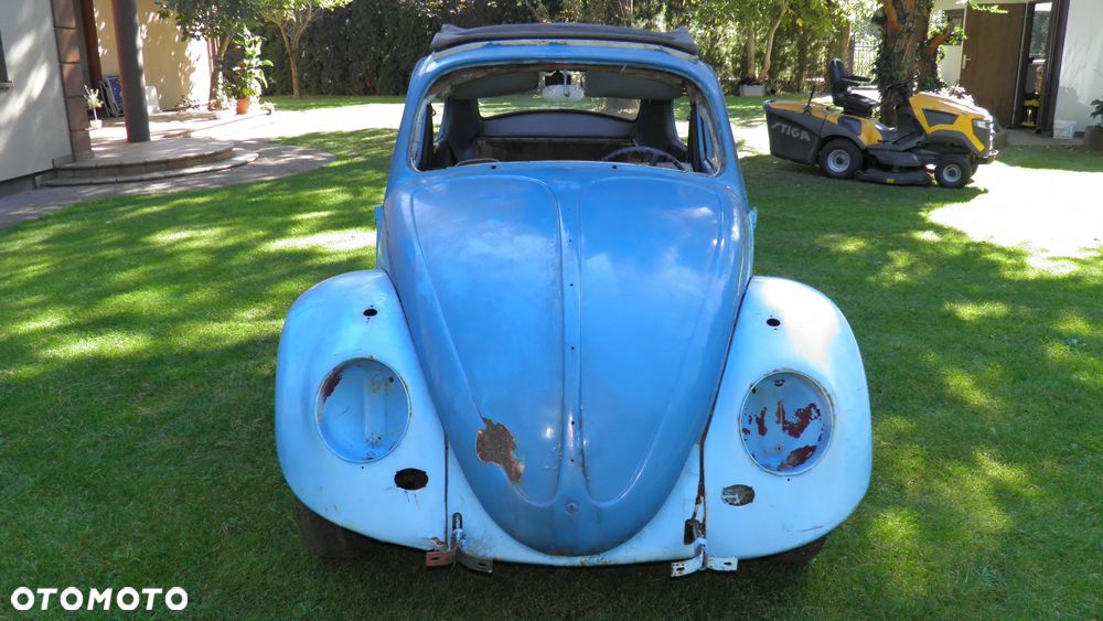 Volkswagen Beetle - 8