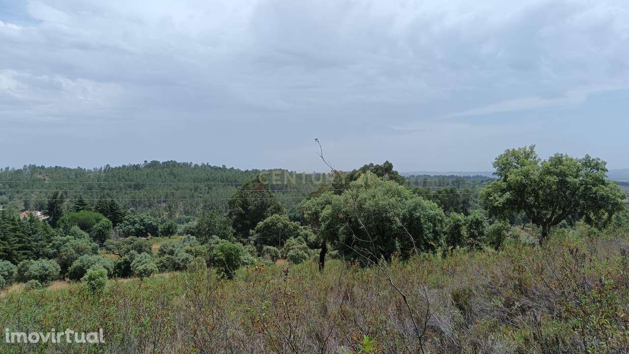 Terreno rústico 2ha, Palvarinho, Castelo Branco - Grande imagem: 5/13