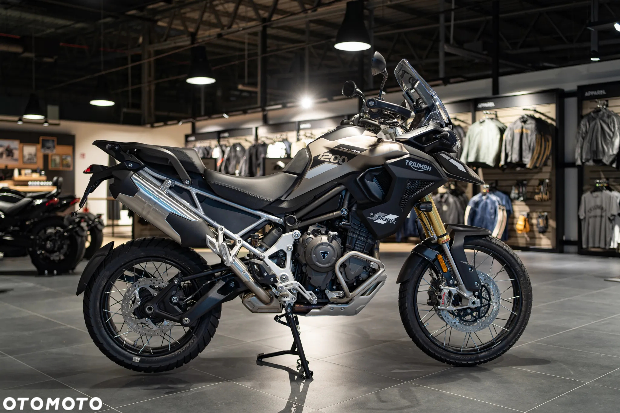 Triumph Tiger - 3