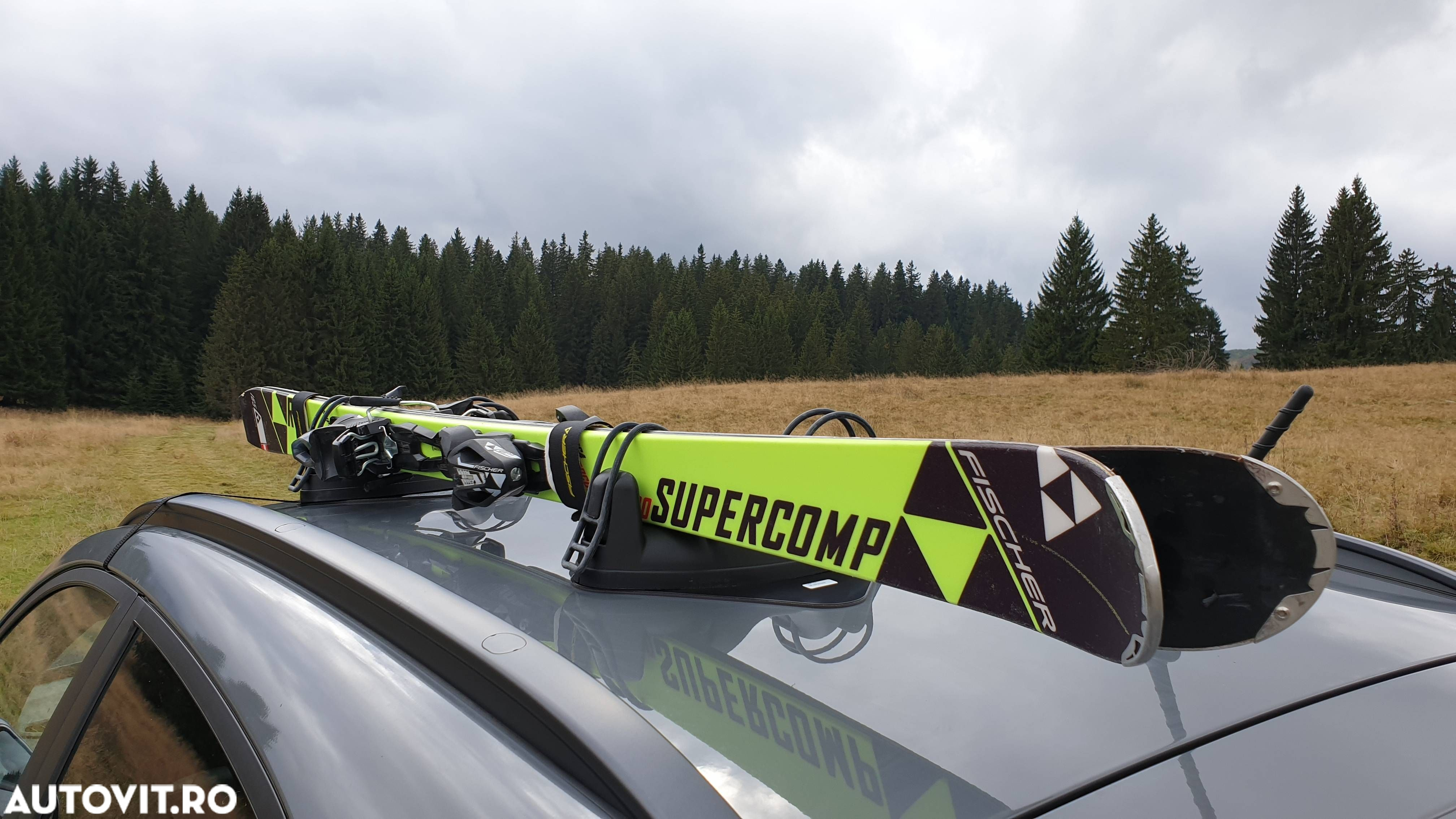 Suport schi Menabo Igloo cu prindere magnetica pentru 2 perechi ski - 5