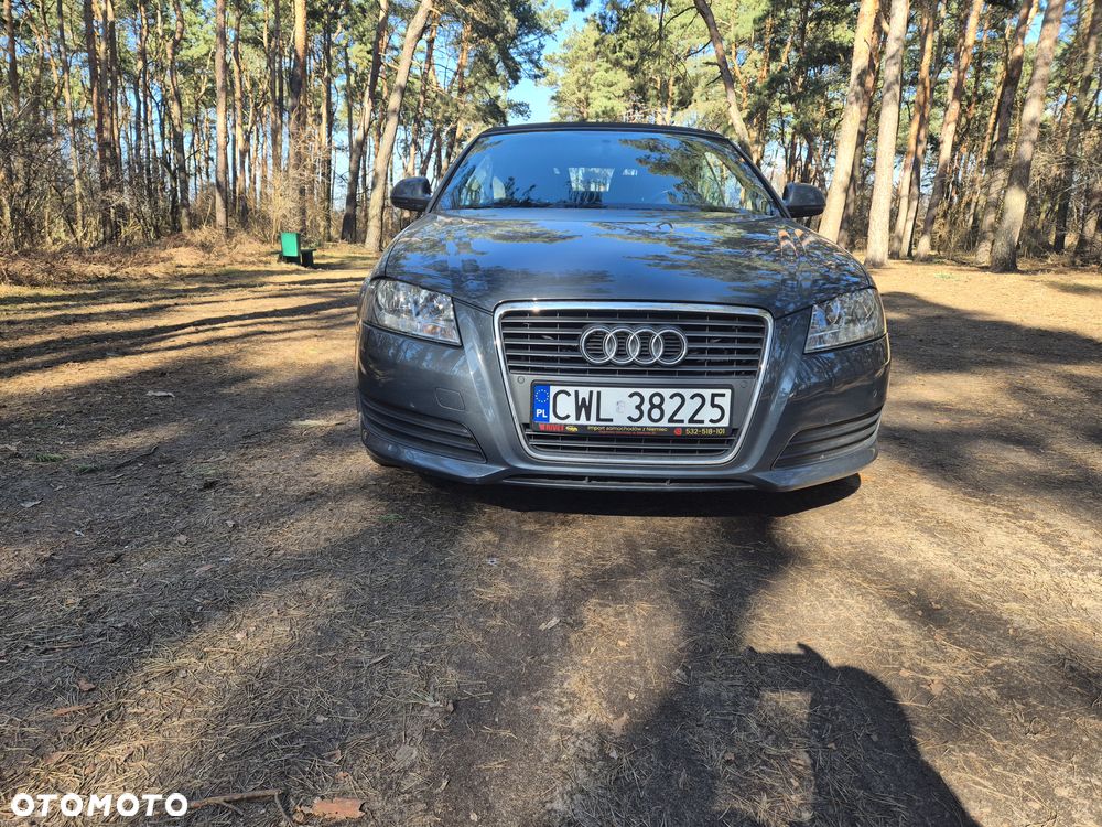 Audi A3 Cabrio 1.6 Attraction - 5