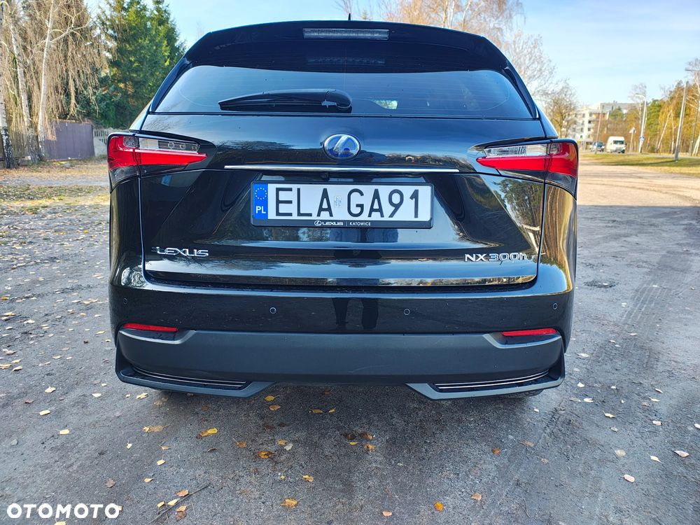 Lexus NX 300h Elegance 2WD - 14