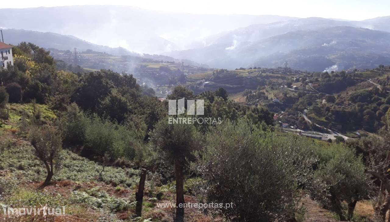 Venda Terreno, vista panorâmica, Valadares, Baião - Grande imagem: 2/6