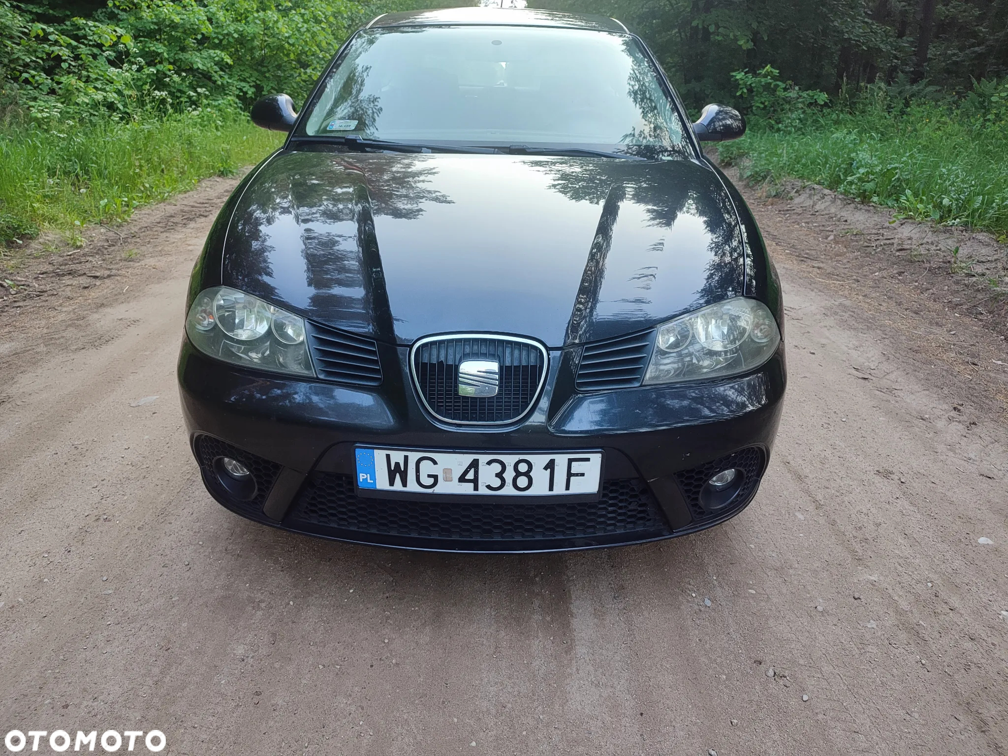 Seat Ibiza - 10