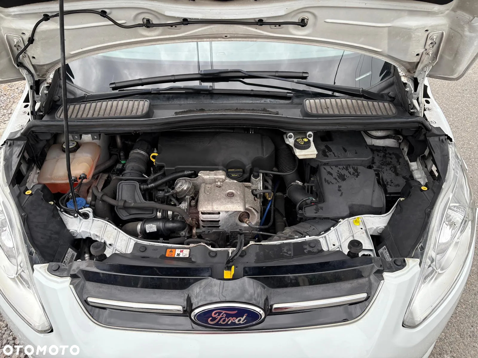 Ford C-MAX 1.0 EcoBoost Edition ASS - 21