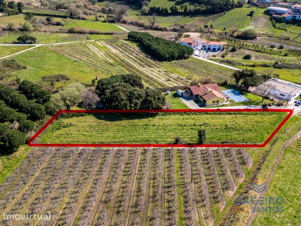 Terreno com PIP aprovado para construção de duas moradias em Alfeiz... - Grande imagem: 4/12