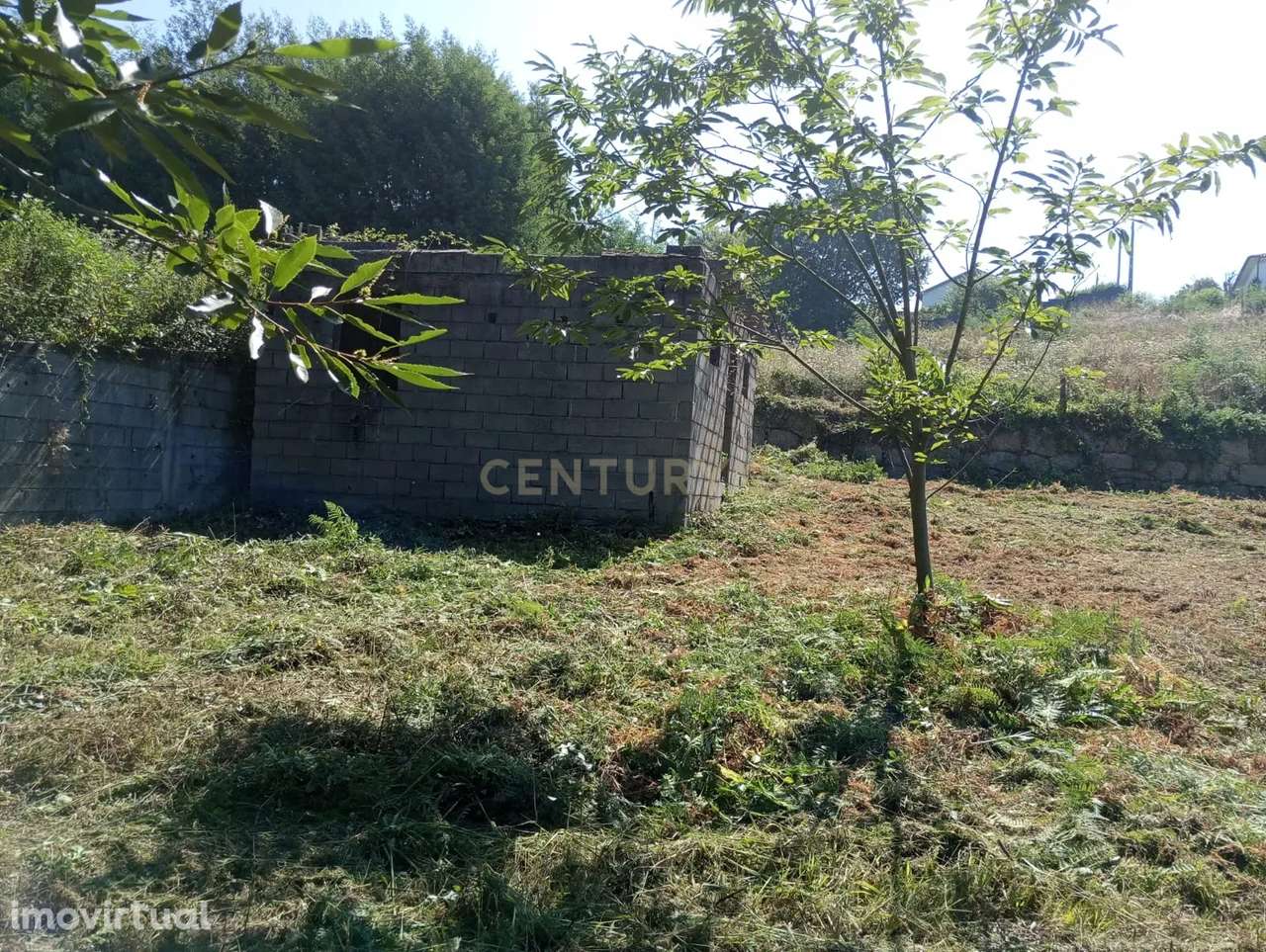 Terreno à venda em Santa Comba Dão, Viseu - 600m² - Grande imagem: 3/9