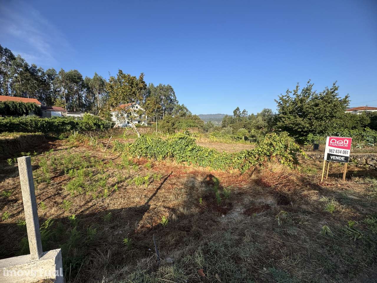 Terreno – Oliveira de Frades - Grande imagem: 5/23