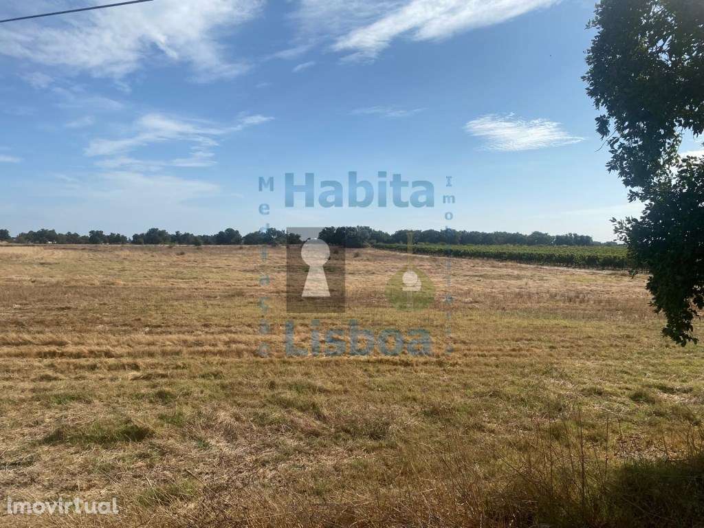 Terreno 11.000m² com viabilidade de moradia - Palmela - Grande imagem: 3/12