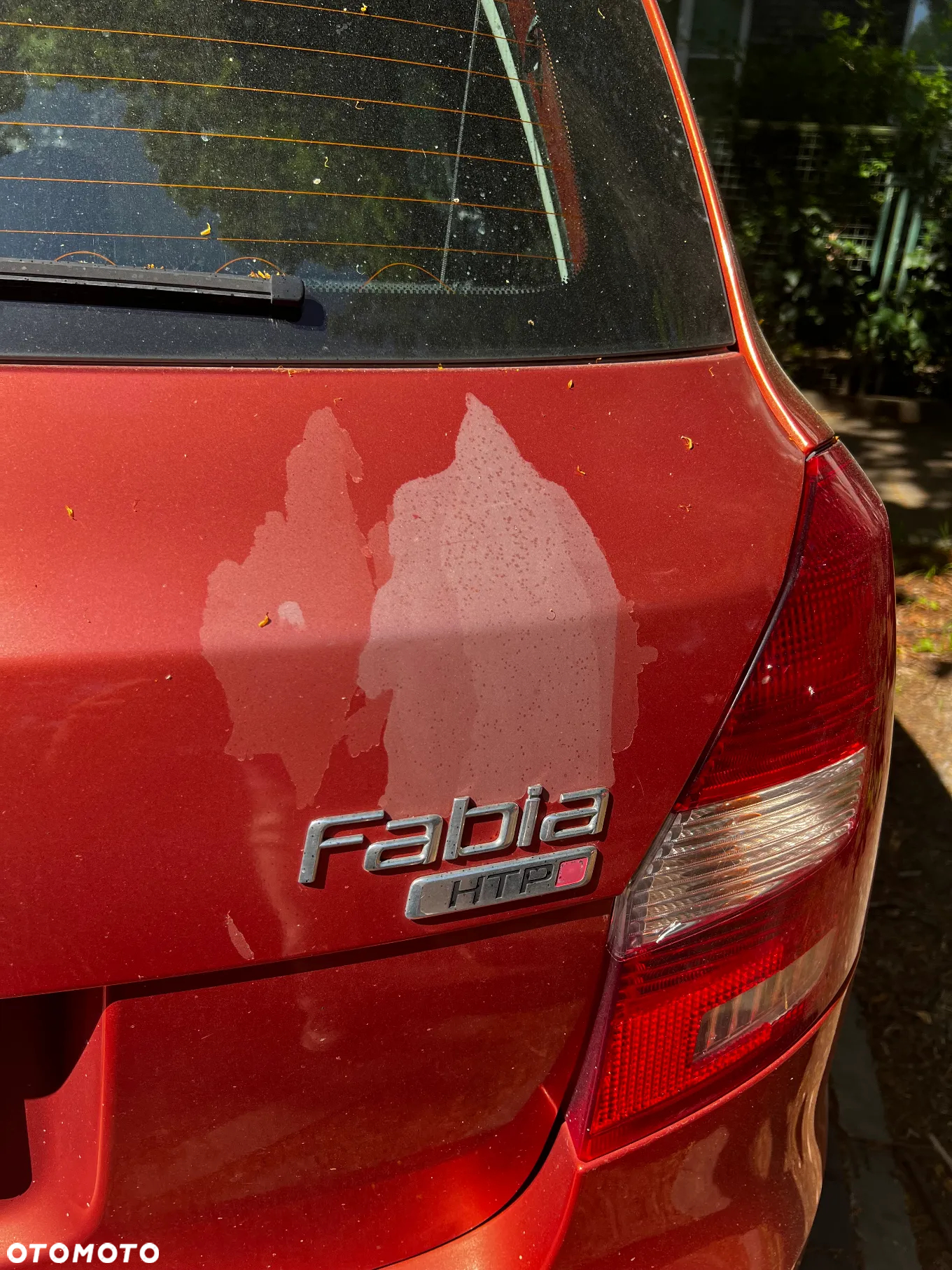Skoda Fabia - 7