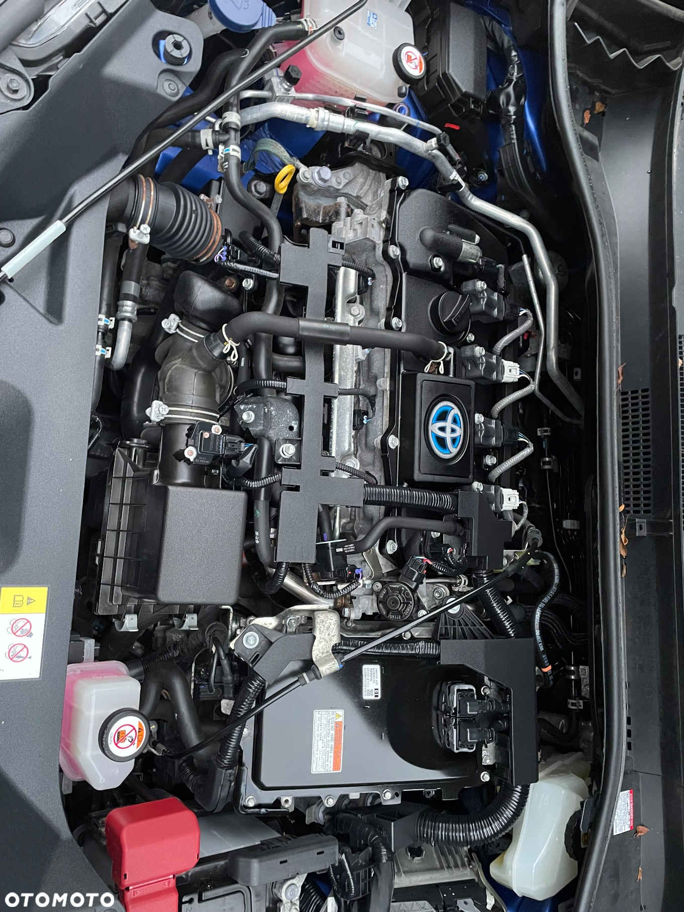 Toyota C-HR - 14
