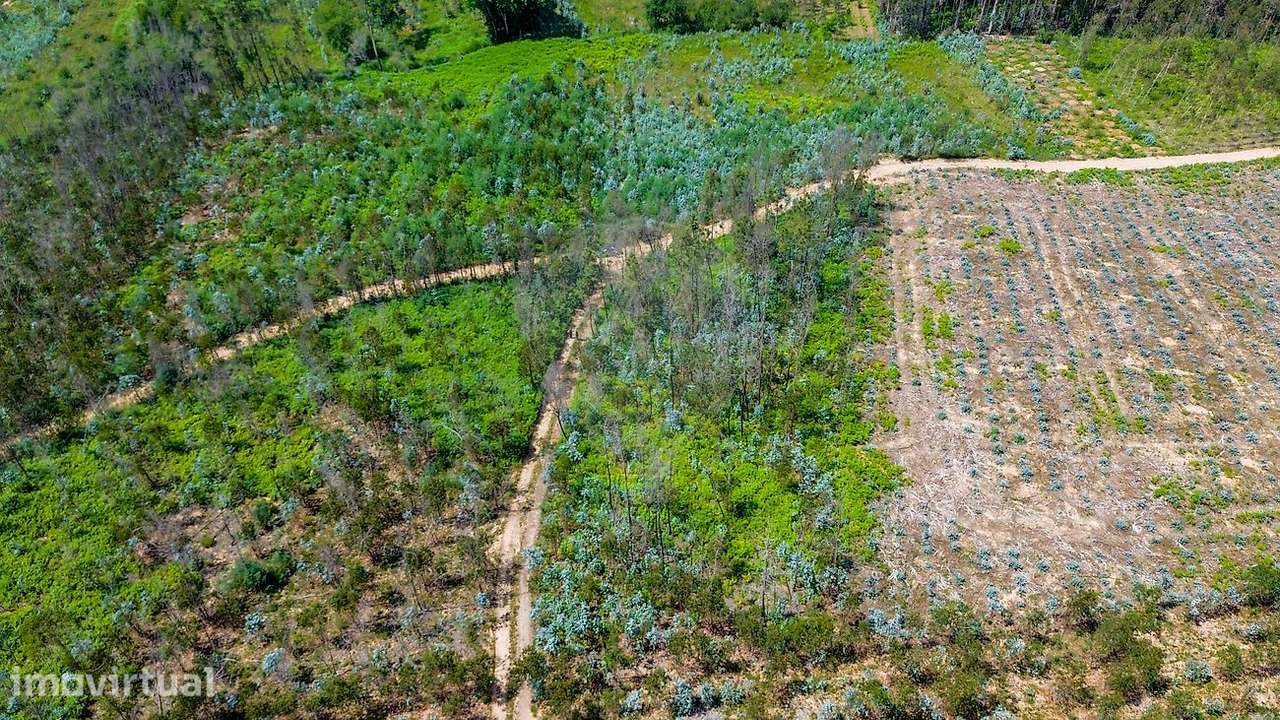 Terreno  para venda - Grande imagem: 5/17
