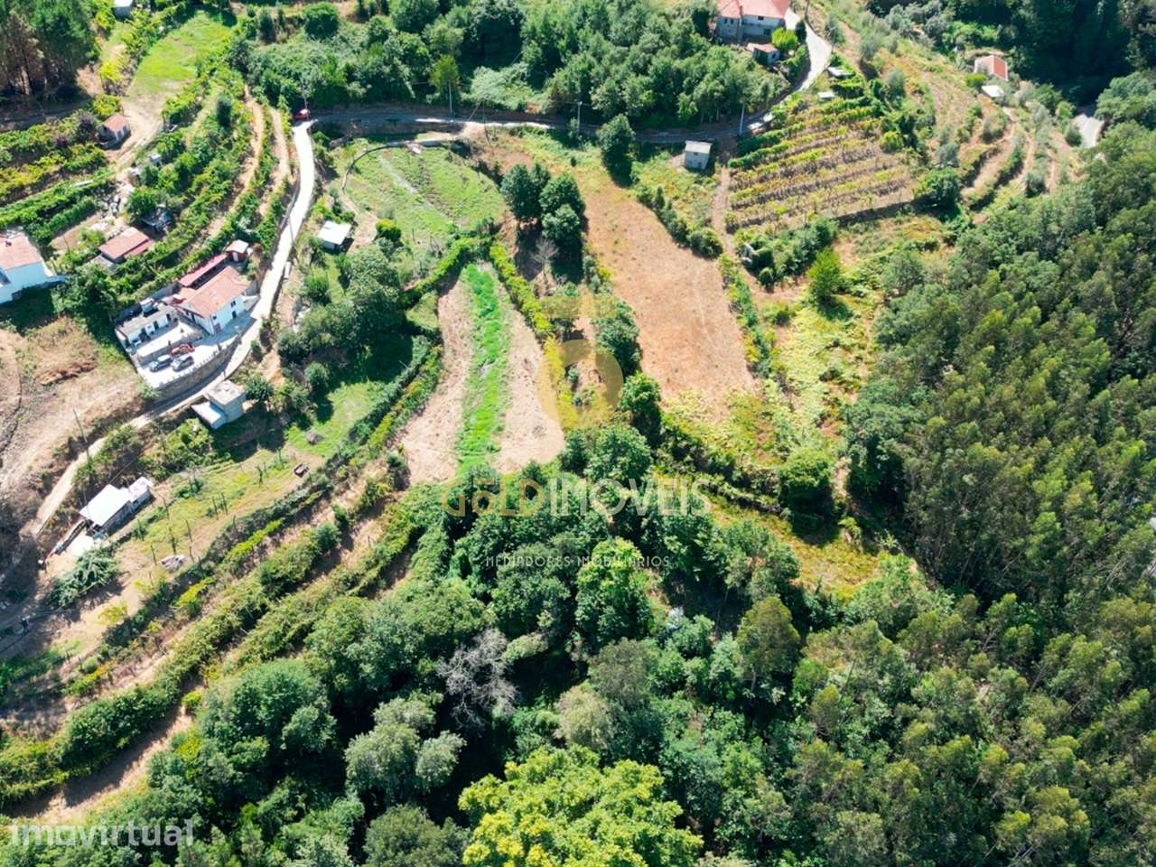 Terreno Rústico  Venda em Travanca,Cinfães - Grande imagem: 3/5
