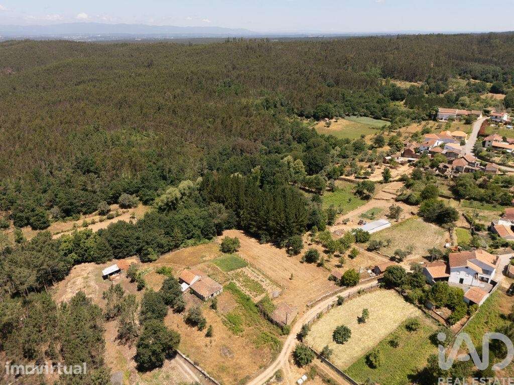 Terreno para construção em Mouronho - Grande imagem: 4/15