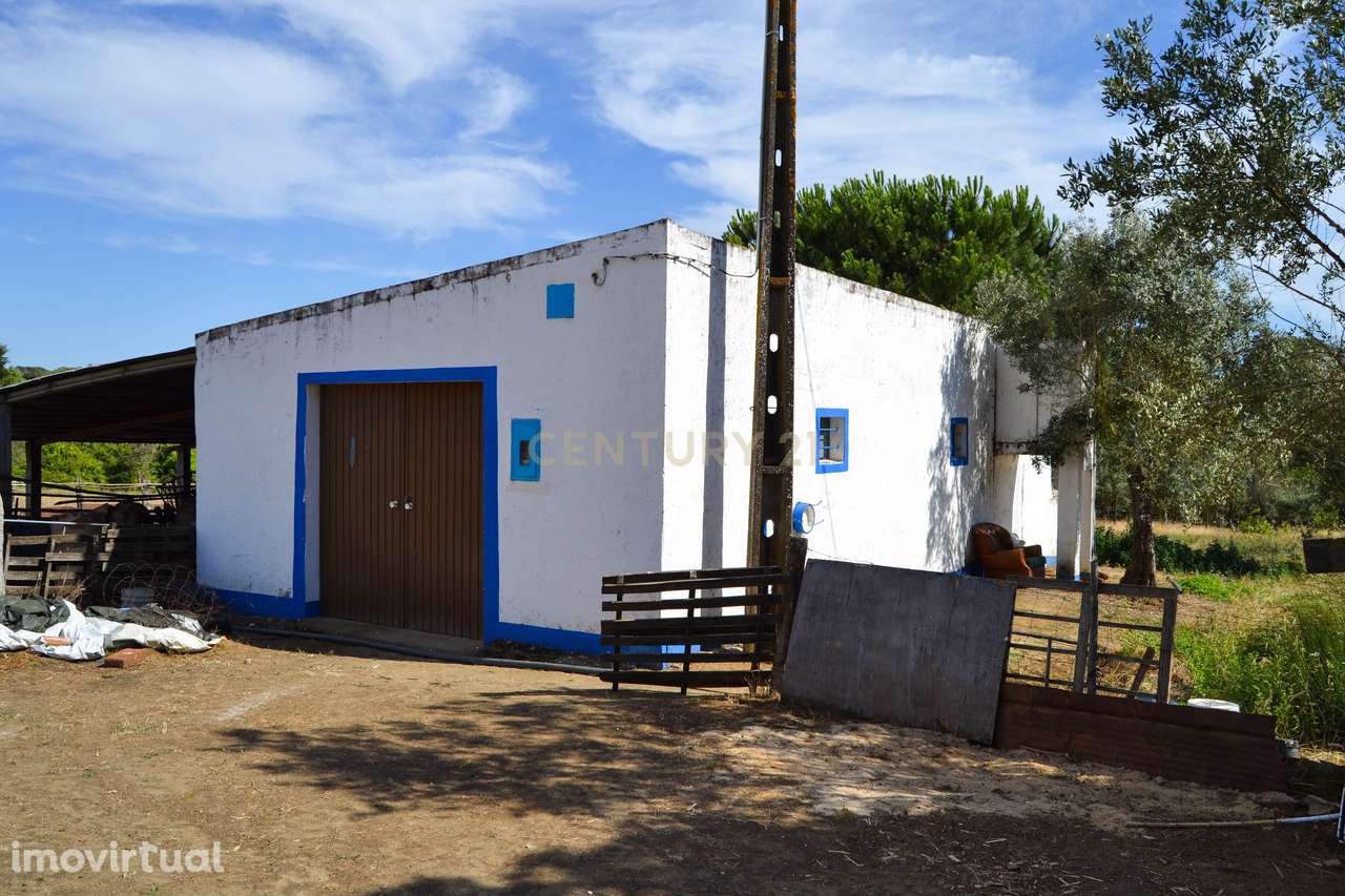 Quinta Courela da Mina - Grande imagem: 3/13