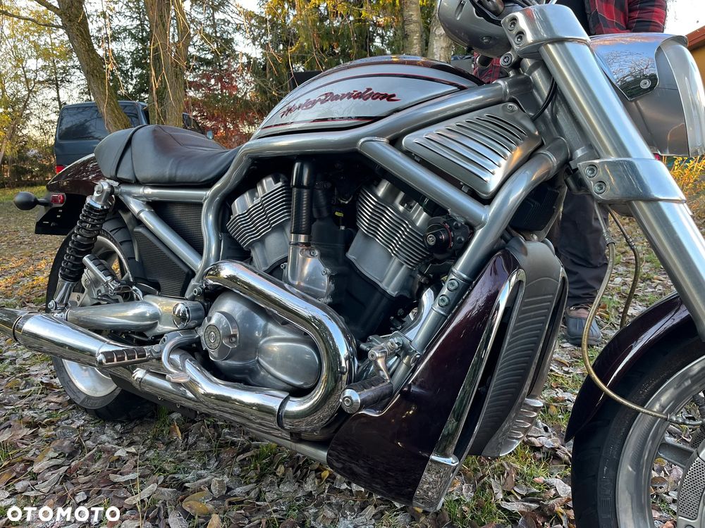 Harley-Davidson V-Rod Street Rod - 3