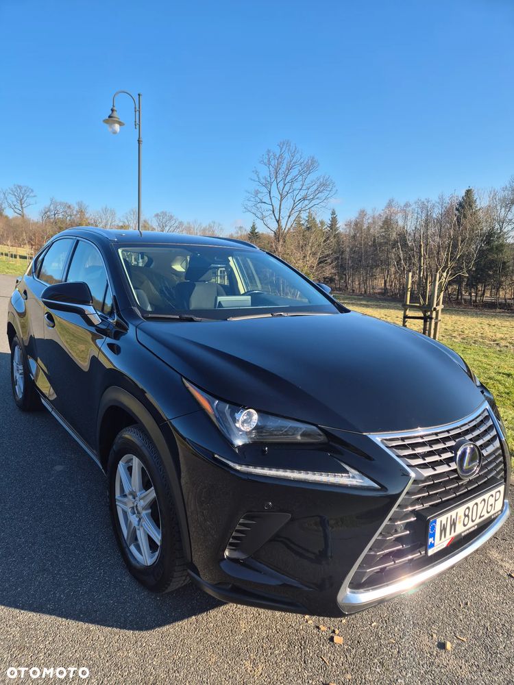 Lexus NX - 1