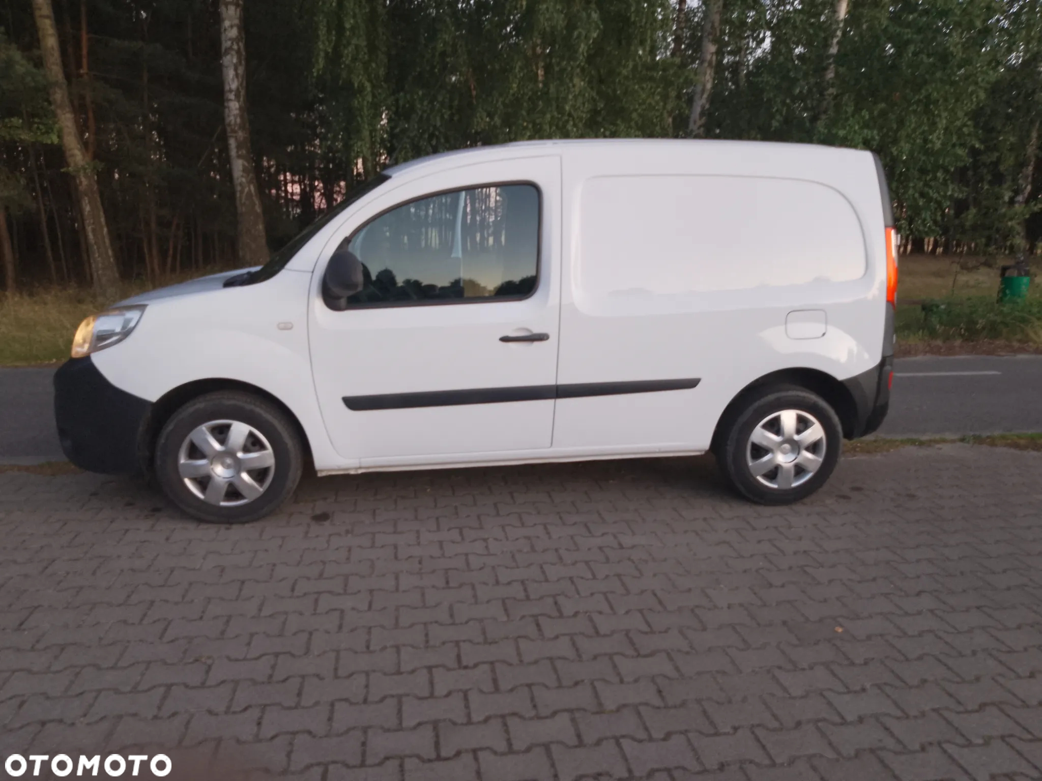Renault Kangoo - 10