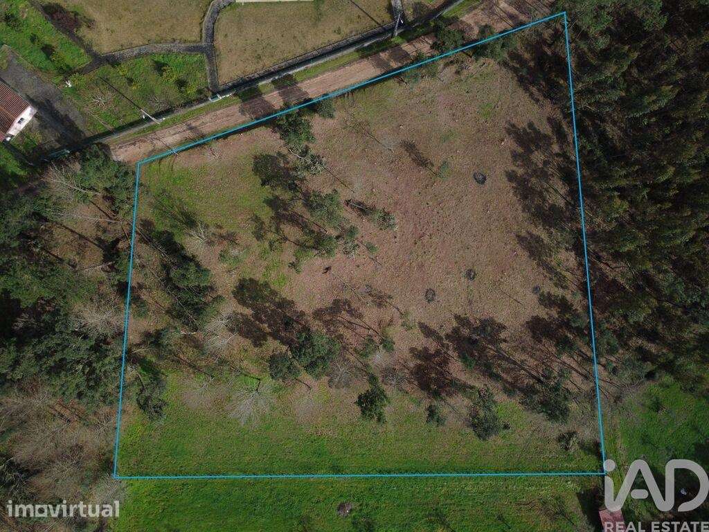 Terreno para construção em Poiares - Grande imagem: 4/40