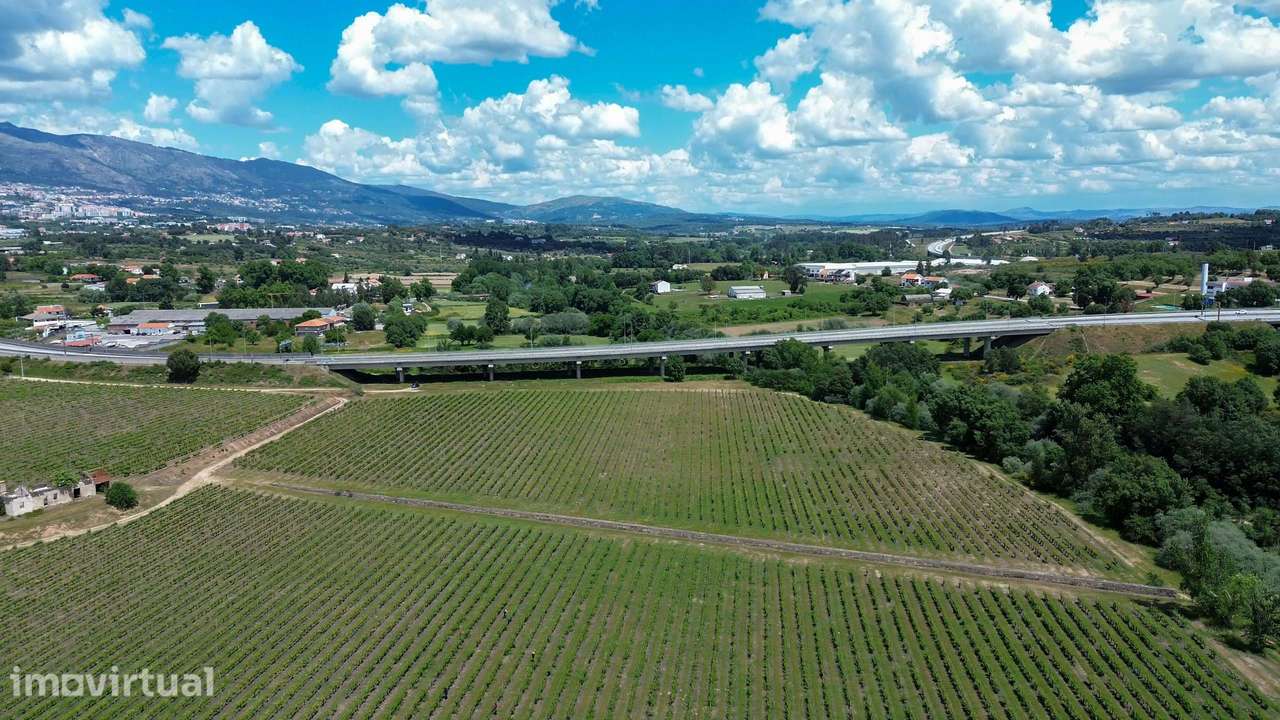 Adega & Vinhas - Almeida Garrett Wines - Grande imagem: 2/32