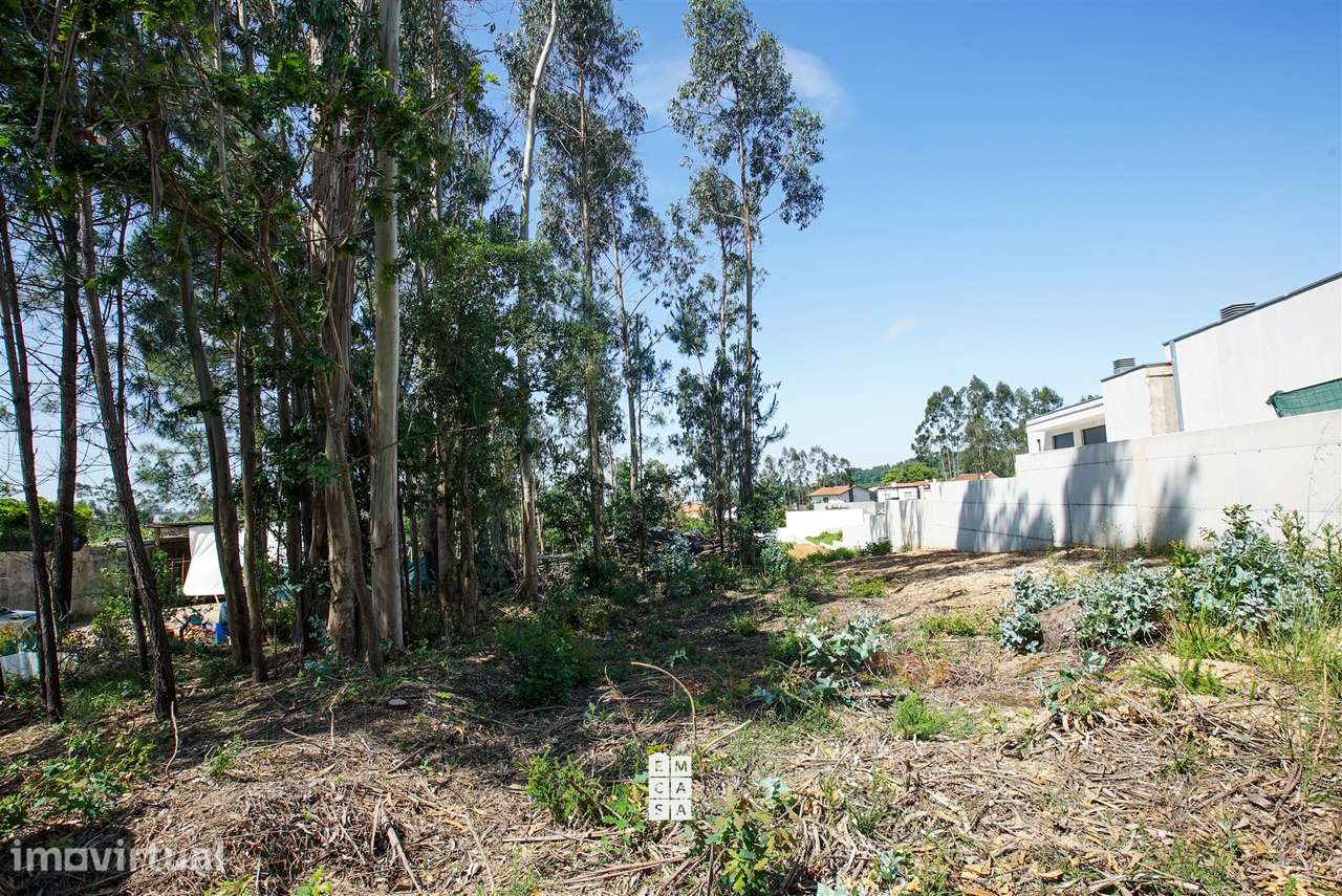 Terreno Para Construção  Venda em São Miguel do Souto e Mosteirô,Santa - Grande imagem: 4/14