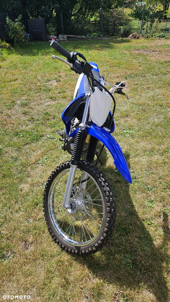 Yamaha TTR