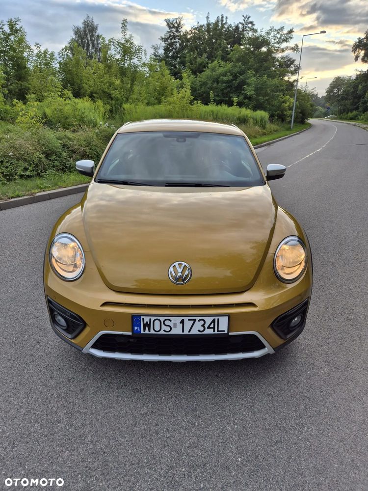 Volkswagen Beetle - 14