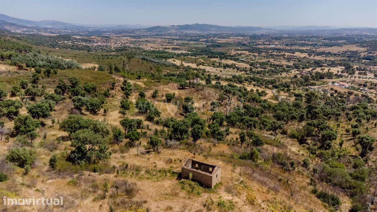 Quinta Estúdio / Fundão, Freixial - Grande imagem: 4/8