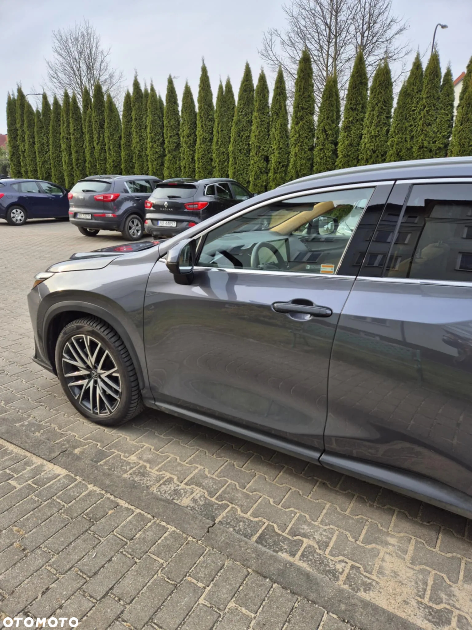 Lexus NX - 9