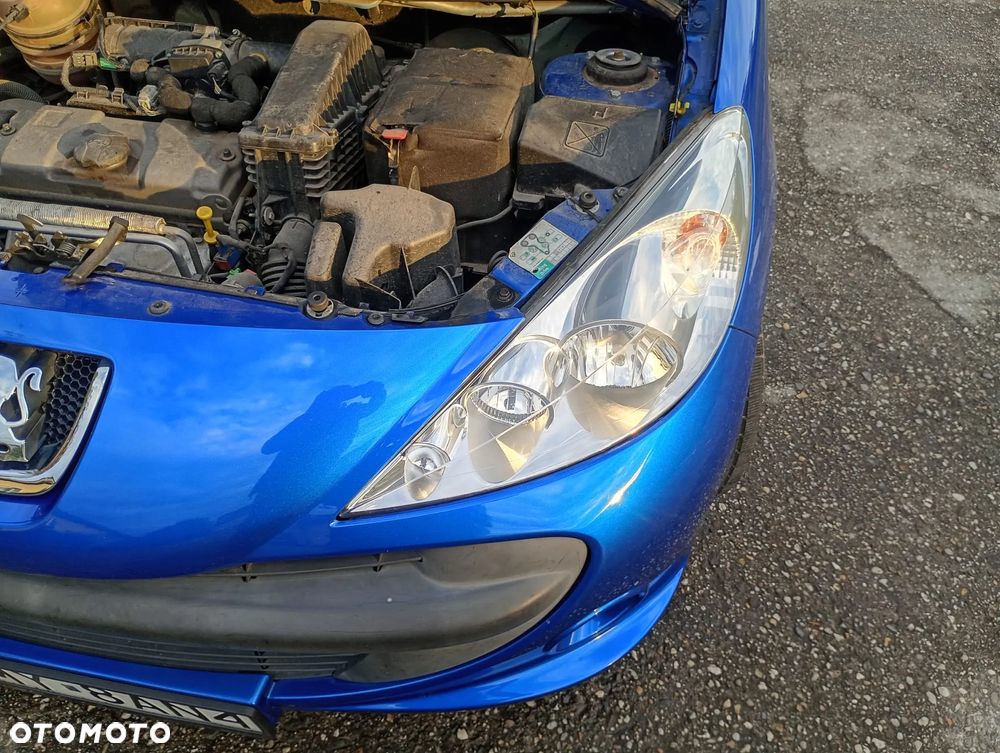 Peugeot 206 - 18