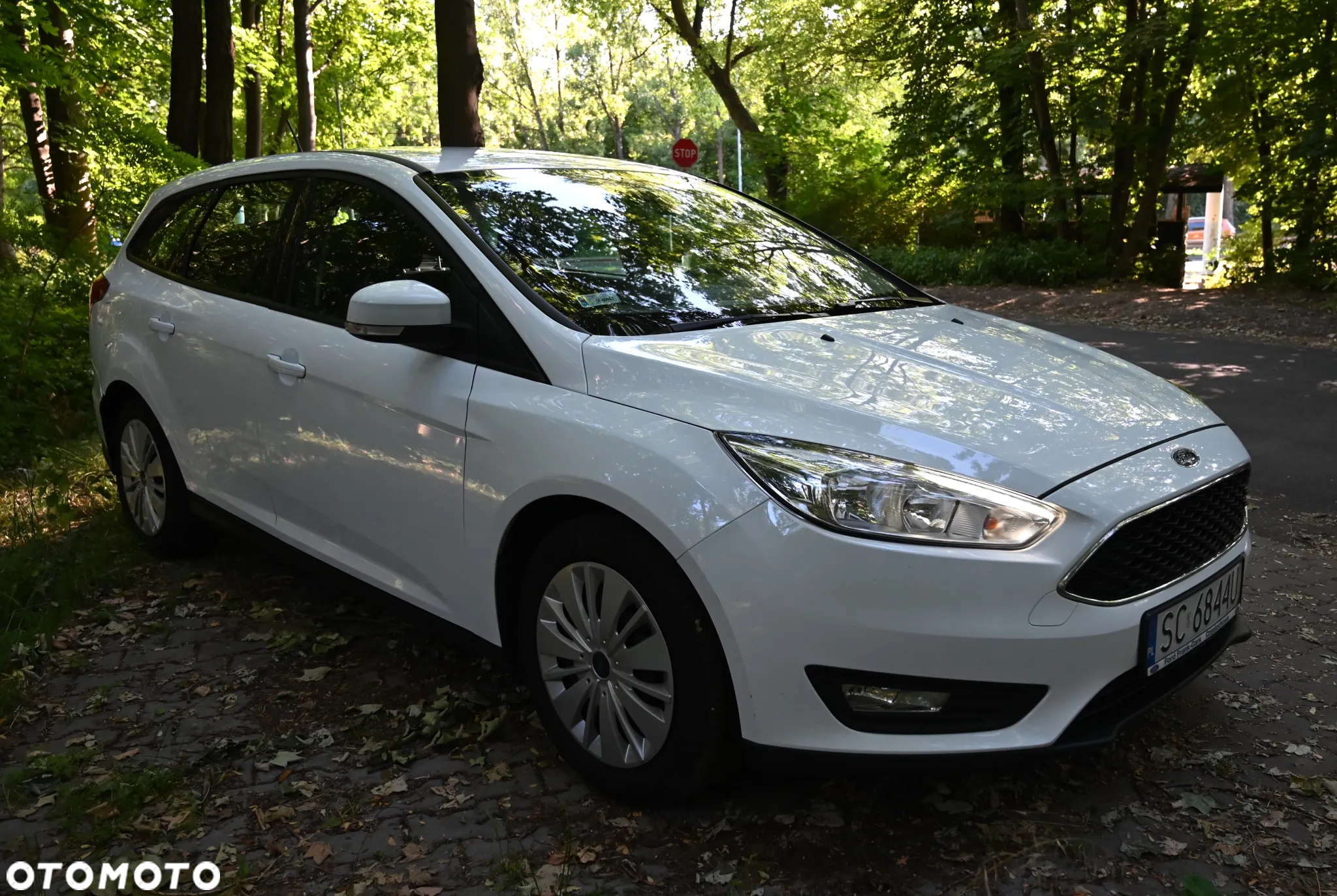 Ford Focus - 11