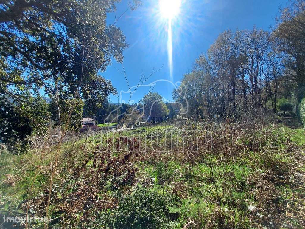LOTE - Vale dos Esquilos, Venade - Caminha - Grande imagem: 3/6