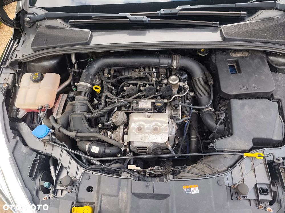 Ford Focus 1.0 EcoBoost Gold X (Edition) - 22