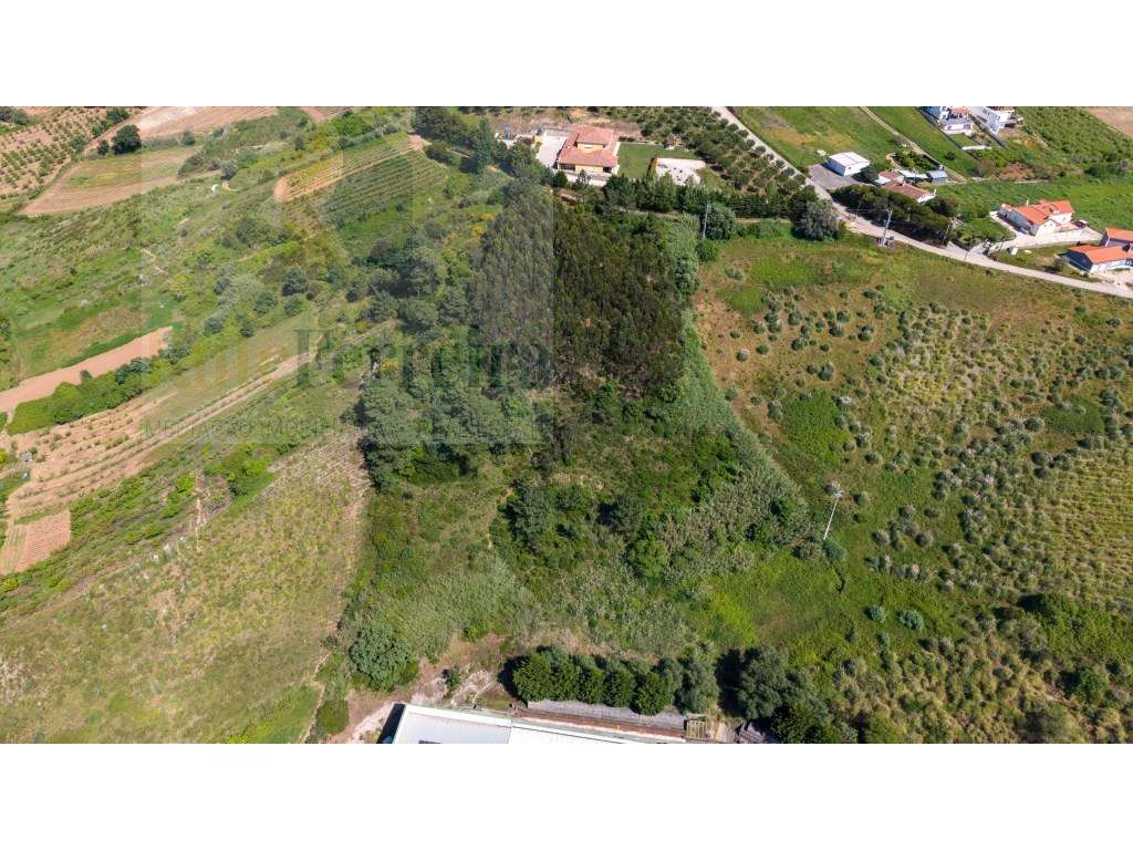Terreno com mais de 1ha com grande área para construção - Grande imagem: 4/5