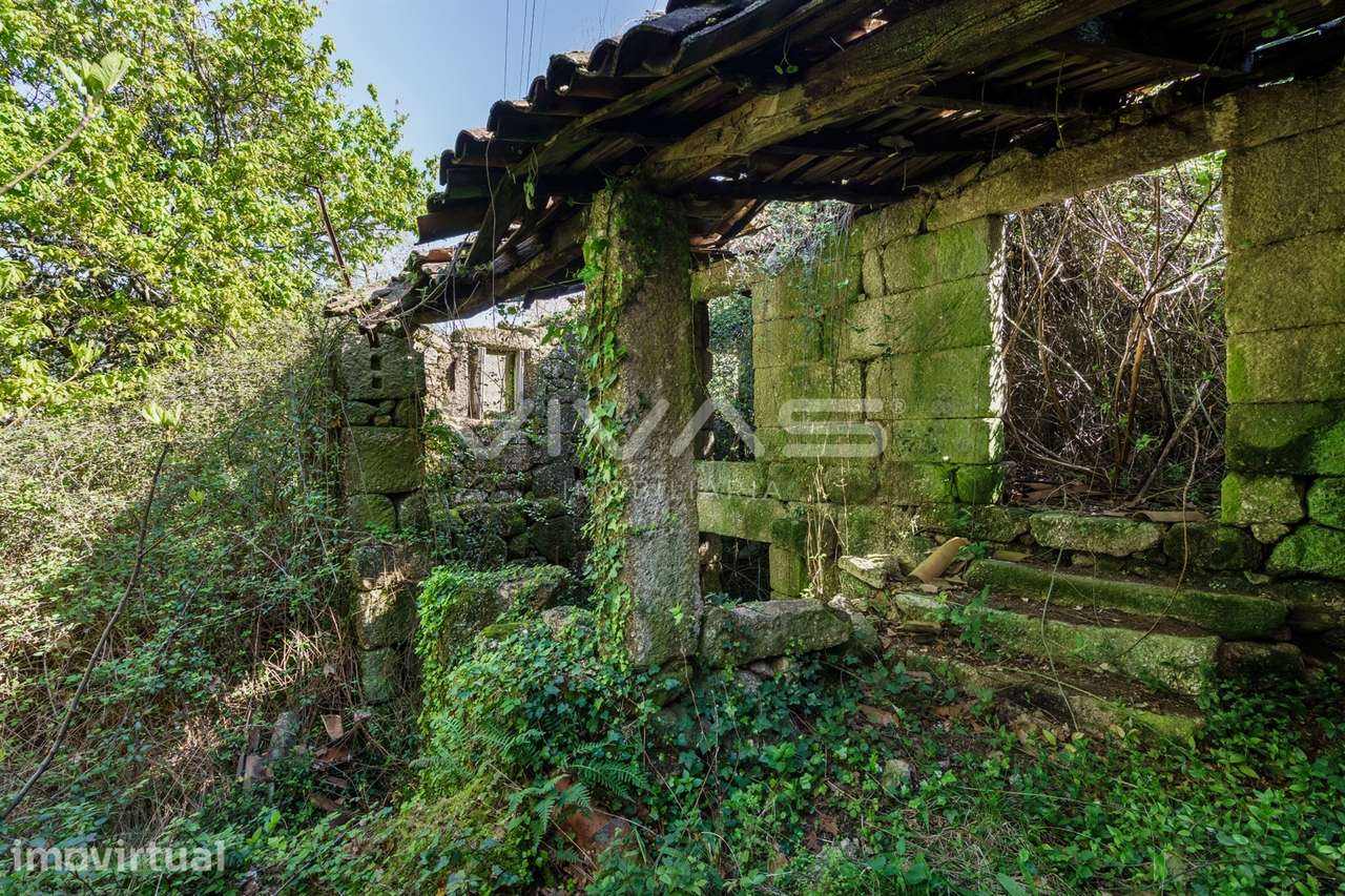 Quintinha  Venda em Parada do Bouro,Vieira do Minho - Grande imagem: 4/14