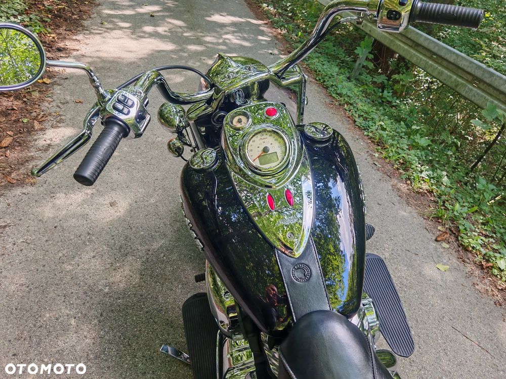 Indian Springfield - 34