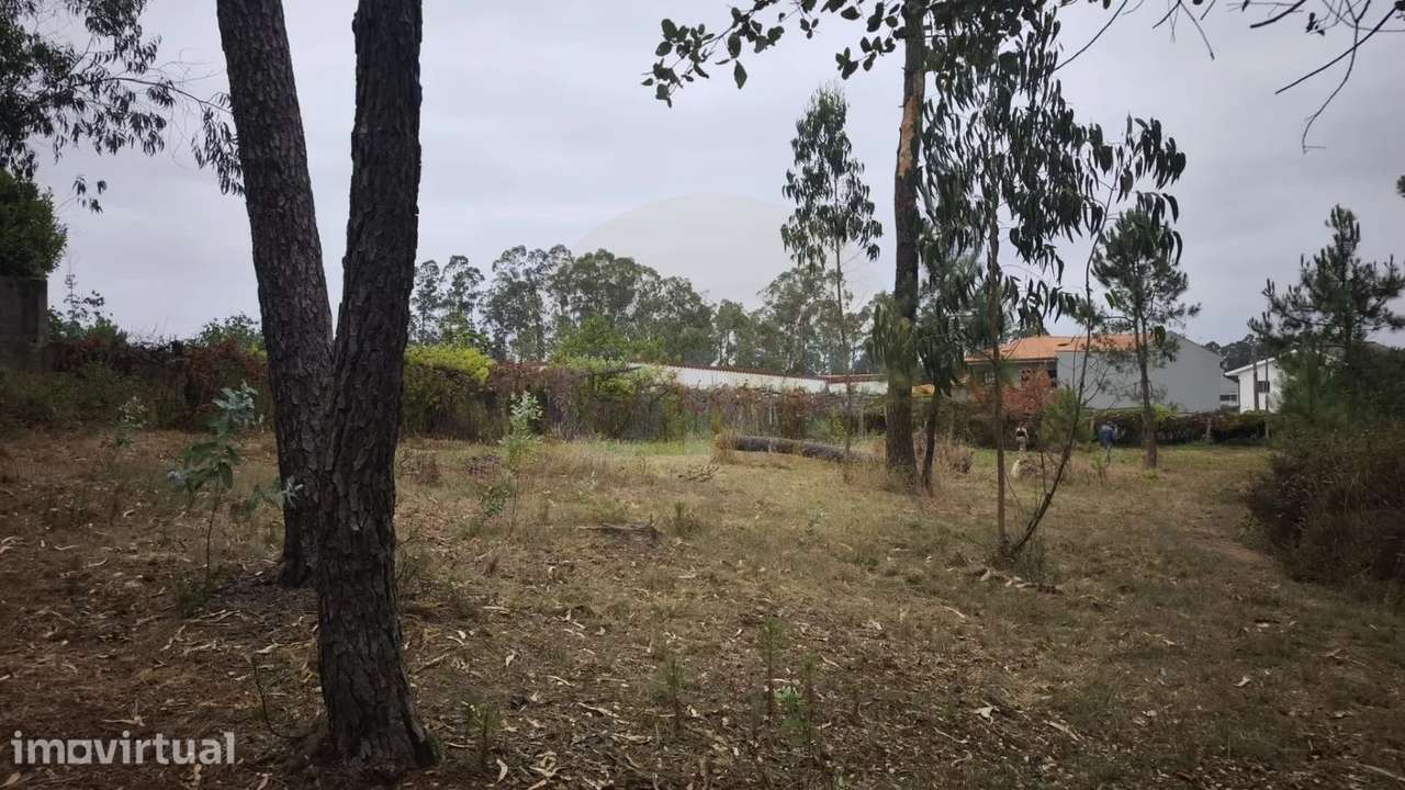 Terreno Rustico em Cristelo - Grande imagem: 5/14