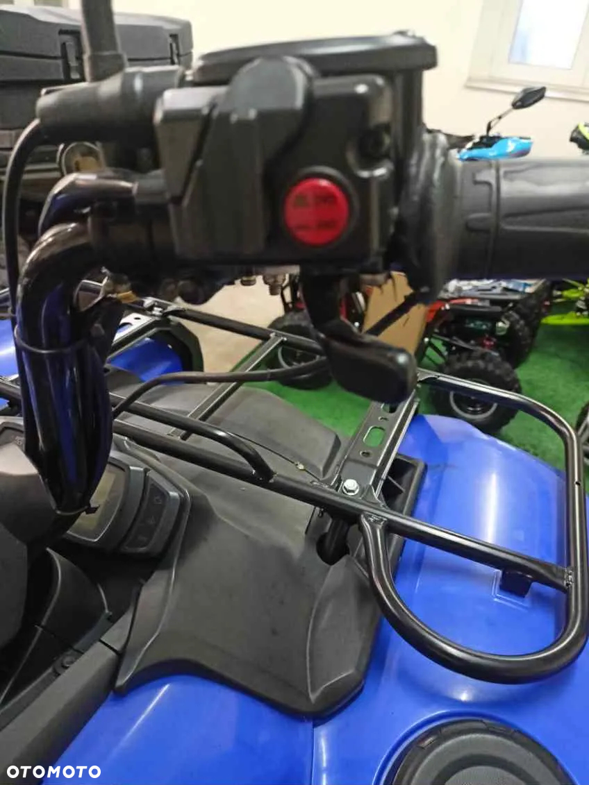 Yamaha Grizzly - 11