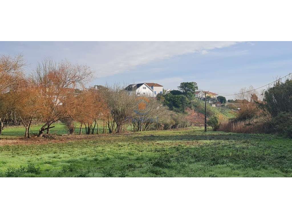 Terreno agrícola 6.000 m2 | A dos Cunhados, Torres Vedras - Grande imagem: 2/14