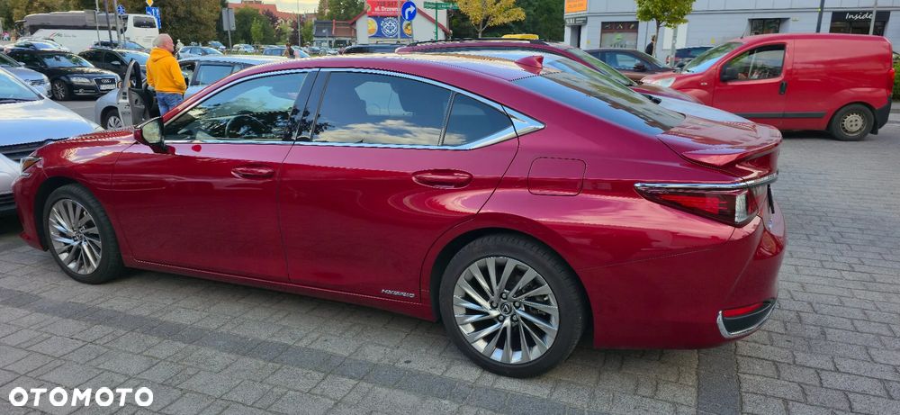 Lexus ES 300h Business Edition + - 8